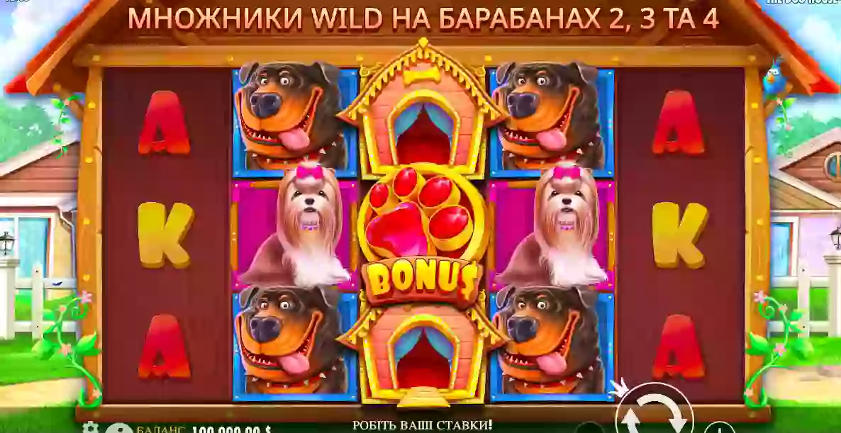 the dog house - дог хаус